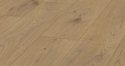 0_3290158_98401.jpg